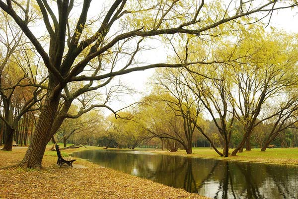 kinh nghiem du lich thuong hai